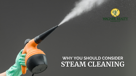 Steam Cleaning